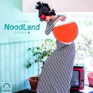 دانلود ریمیکس رادیو جوان از DJ Nood بنام NoodLand9