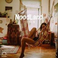 دانلود ریمیکس رادیو جوان از DJ Nood بنام NoodLand1