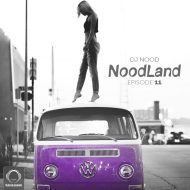 دانلود ریمیکس رادیو جوان از DJ Nood بنام NoodLand11